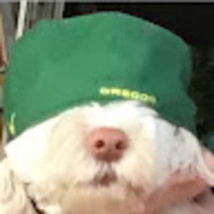 Meet your Posher, Jmd#10